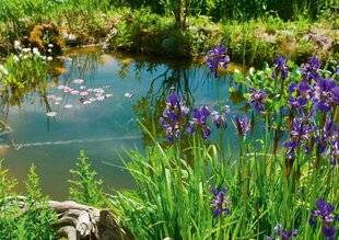 L'Ami des Jardins 1175 Dix bougies pour la Fête des mares !