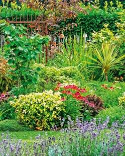 L'Ami des Jardins 1175 JOYEUX ET GÉNÉREUX !