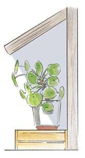 L'Ami des Jardins 1175 SORTIR LES PLANTES D'INTÉRIEUR