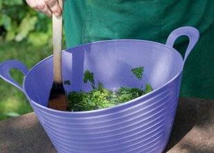 L'Ami des Jardins 1175 DEUX POTIONS NATURELLES POUR LUTTER CONTRE LES INSECTES