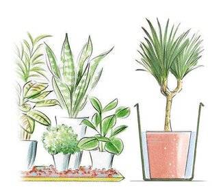 L'Ami des Jardins 1175 PRÉPARER VOS PLANTES POUR LES VACANCES