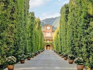 L'Ami des Jardins 1175 Jardins de la Villa royale de Marlia (Italie)