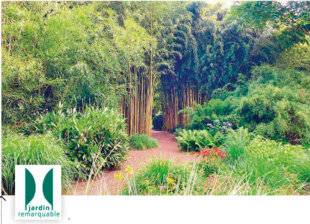 L'Ami des Jardins 1175 Jardin de Planbuisson (Dordogne)