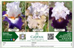L'Ami des Jardins 1175 Cayeux