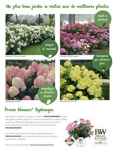 L'Ami des Jardins 1176 PROVEN WINNERS