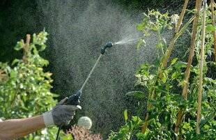 L'Ami des Jardins 1176 DES POTIONS NATURELLES CONTRE LES INSECTES