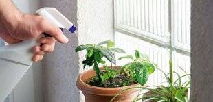 L'Ami des Jardins 1176 VAPORISER, OUI, MAIS LE SOIR