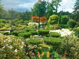 L'Ami des Jardins 1176 NAISSANCE D'UNE PASSION