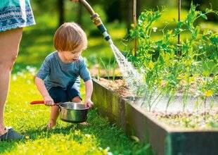 L'Ami des Jardins 1176 ÉCONOMISER L'EAU PAR TOUS LES MOYENS