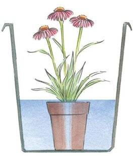 L'Ami des Jardins 1176 PLANTER UNE VIVACE TARDIVEMENT