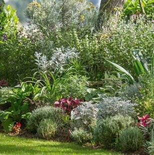 L'Ami des Jardins 1176 PLANTER PAR STRATE