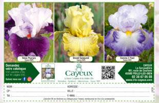 L'Ami des Jardins 1176 Cayeux