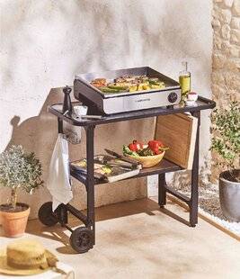 L'Ami des Jardins 1176 Êtes-vous plutôt BARBECUE ou PLANCHA ?