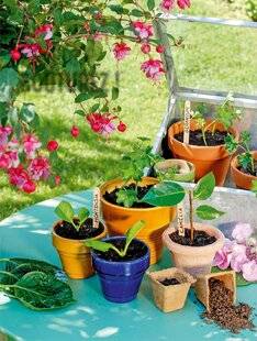 L'Ami des Jardins 1177 C'est l'été, BOUTUREZ !