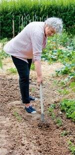 L'Ami des Jardins 1177 PRÉPARER SES CULTURES D'AUTOMNE