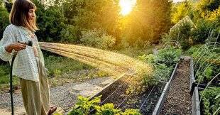 L'Ami des Jardins 1177 MOINS ARROSER EN FIN D'ÉTÉ
