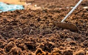 L'Ami des Jardins 1177 LES BIENFAITS DE L'HUMUS