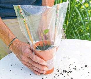 L'Ami des Jardins 1177 À l'étouffée