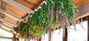 L'Ami des Jardins 1177 DES BOUQUETS SECS DANS LA VÉRANDA