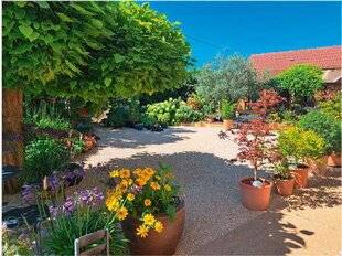 L'Ami des Jardins 1177 VOS PLUS BELLES SCÈNES DE JARDIN