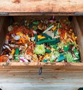 L'Ami des Jardins 1177 Peut-on mettre les épluchures au compost ?