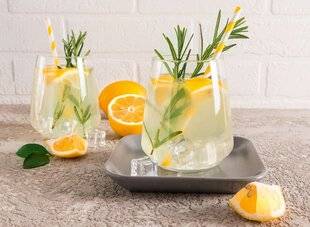 L'Ami des Jardins 1177 Limonade au romarin