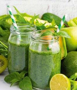 L'Ami des Jardins 1177 Smoothie vitaminé