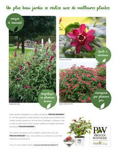 L'Ami des Jardins 1178 PROVEN WINNERS