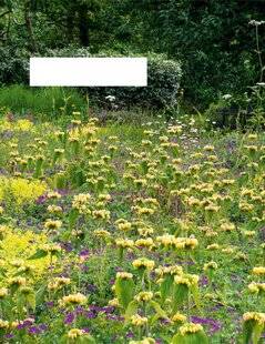 L'Ami des Jardins 1178 Le meilleur des paillis