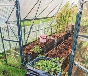 L'Ami des Jardins 1178 FAIRE LE MÉNAGE DANS LA SERRE
