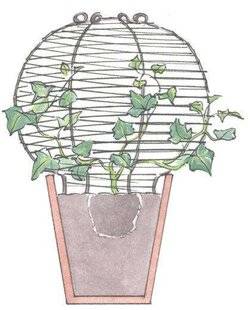L'Ami des Jardins 1178 QUAND LES PLANTES DEVIENNENT SCULPTURES