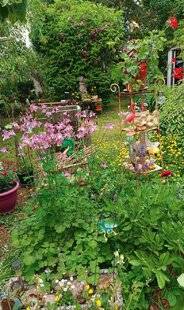 L'Ami des Jardins 1178 C'EST MON JARDIN