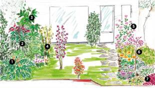 L'Ami des Jardins 1178 AMÉNAGER UN PETIT JARDIN À L'OMBRE