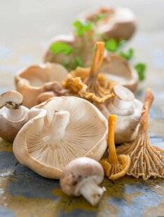 L'Ami des Jardins 1178 CULTIVEZ VOS CHAMPIGNONS à la maison !