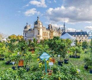 L'Ami des Jardins 1179 Les Journées des plantes de Chantilly