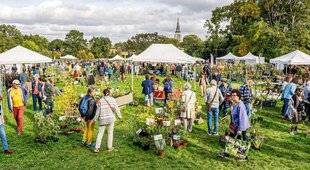 L'Ami des Jardins 1179 Pépites botaniques