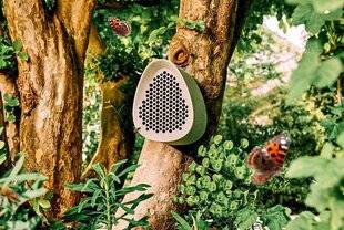 L'Ami des Jardins 1179 BZZZZZ…