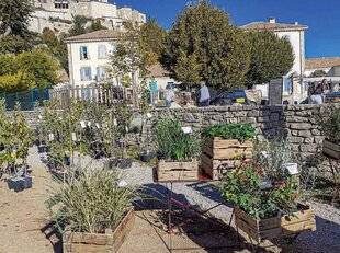 L'Ami des Jardins 1179 Flore à Simiane