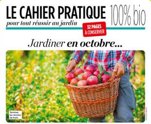 L'Ami des Jardins 1179 Jardiner en octobre…