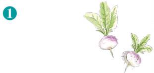 L'Ami des Jardins 1179 CONSERVER LES LÉGUMES-RACINES