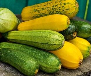 L'Ami des Jardins 1179 DES COURGETTES FRAÎCHES EN HIVER