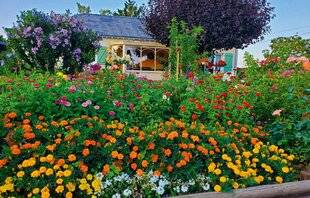 L'Ami des Jardins 1179 UN JARDIN DE MÉMOIRE