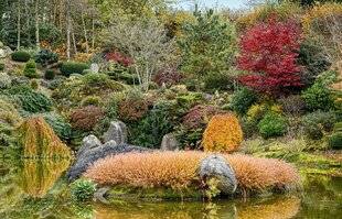 L'Ami des Jardins 1179 LE JAPON EN NORMANDIE