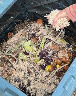 L'Ami des Jardins 1180 RECYCLER LA SCIURE DE BOIS