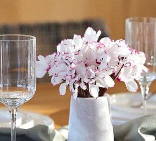 L'Ami des Jardins 1180 Un cyclamen parfumé