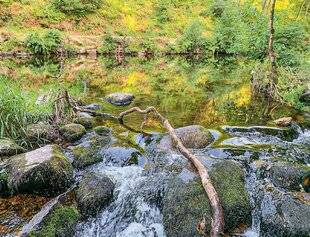 L'Ami des Jardins 1180 BIEF, COURS D'EAU, RIVIÈRE : QUELS SONT VOS DROITS ?
