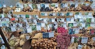 L'Ami des Jardins 1180 Voici des fruits, des fleurs, et des branches…