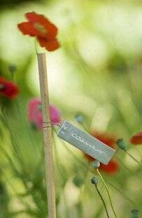 L'Ami des Jardins 1180 Marquages durables