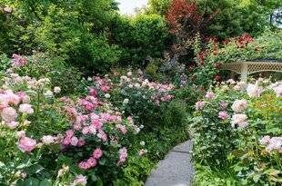 L'Ami des Jardins 1180 Regencycore, la nouvelle tendance au jardin