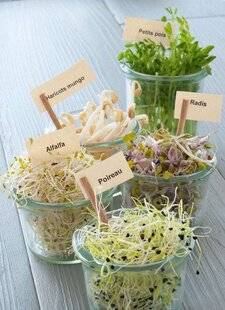 L'Ami des Jardins 1180 DES RÉCOLTES SAVOUREUSES À L'INTÉRIEUR